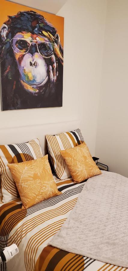 Triangle D'Or - Calme Et Cosy, Appartement 1 Chambre Saint-Quentin  Exteriér fotografie